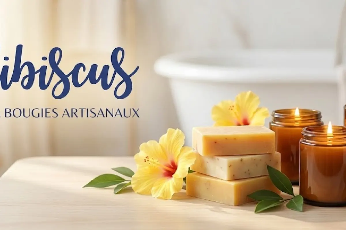 Bannière HibiscuS - Image 1