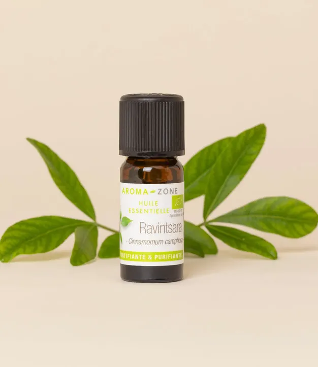 Ravintsara (Ravintsare) BIO