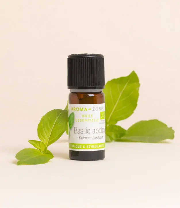 Basilic tropical BIO